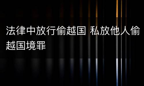 法律中放行偷越国 私放他人偷越国境罪