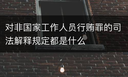对非国家工作人员行贿罪的司法解释规定都是什么