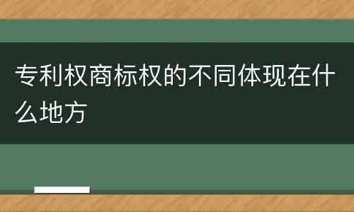 专利权商标权的不同体现在什么地方
