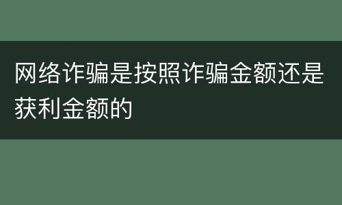 网络诈骗是按照诈骗金额还是获利金额的