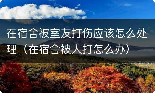 在宿舍被室友打伤应该怎么处理（在宿舍被人打怎么办）