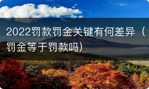 2022罚款罚金关键有何差异（罚金等于罚款吗）