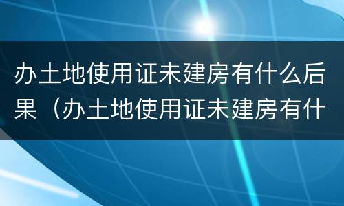 办土地使用证未建房有什么后果（办土地使用证未建房有什么后果吗）