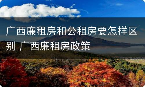 广西廉租房和公租房要怎样区别 广西廉租房政策