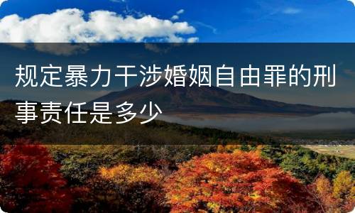 规定暴力干涉婚姻自由罪的刑事责任是多少