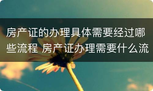 房产证的办理具体需要经过哪些流程 房产证办理需要什么流程