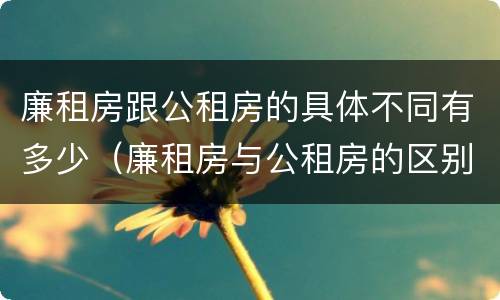 廉租房跟公租房的具体不同有多少（廉租房与公租房的区别在哪里）
