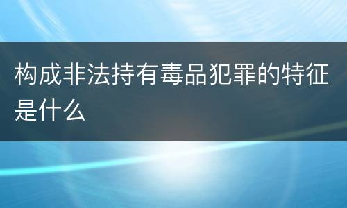 构成非法持有毒品犯罪的特征是什么