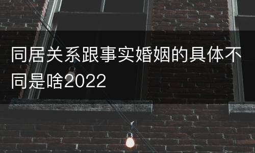 同居关系跟事实婚姻的具体不同是啥2022
