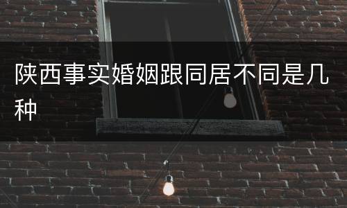 陕西事实婚姻跟同居不同是几种