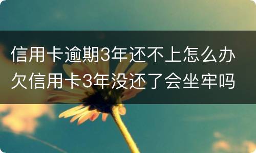 信用卡逾期3年还不上怎么办 欠信用卡3年没还了会坐牢吗