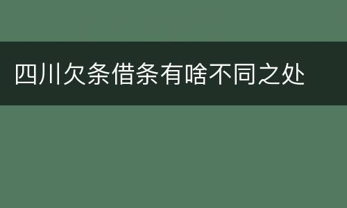 四川欠条借条有啥不同之处