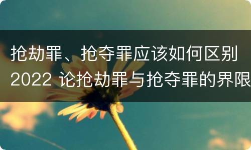 抢劫罪、抢夺罪应该如何区别2022 论抢劫罪与抢夺罪的界限
