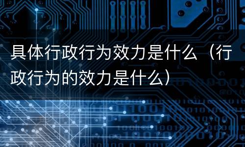 具体行政行为效力是什么（行政行为的效力是什么）