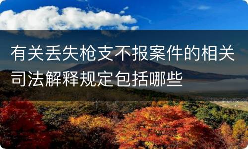 有关丢失枪支不报案件的相关司法解释规定包括哪些