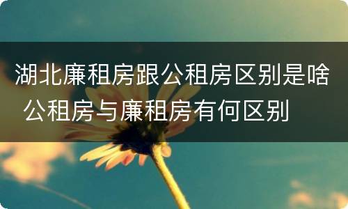 湖北廉租房跟公租房区别是啥 公租房与廉租房有何区别