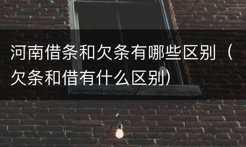 河南借条和欠条有哪些区别（欠条和借有什么区别）