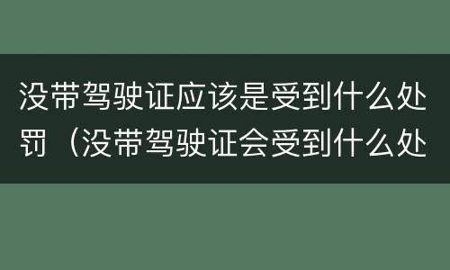 没带驾驶证应该是受到什么处罚（没带驾驶证会受到什么处罚）