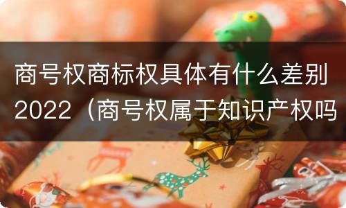 商号权商标权具体有什么差别2022（商号权属于知识产权吗）
