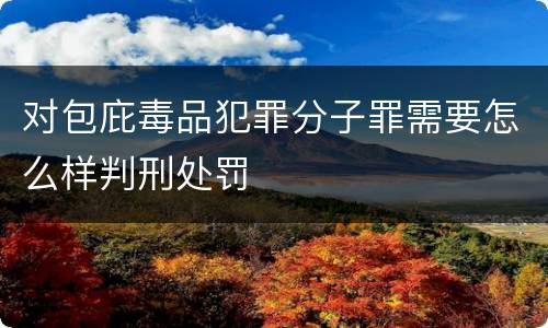 对包庇毒品犯罪分子罪需要怎么样判刑处罚
