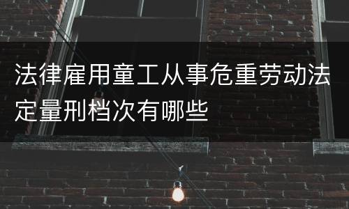 法律雇用童工从事危重劳动法定量刑档次有哪些