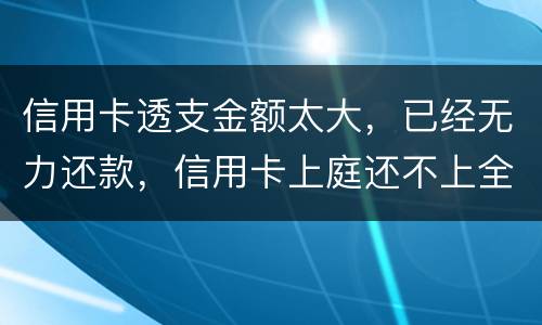 信用卡透支金额太大，已经无力还款，信用卡上庭还不上全款怎么办