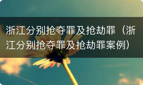 浙江分别抢夺罪及抢劫罪（浙江分别抢夺罪及抢劫罪案例）