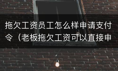 拖欠工资员工怎么样申请支付令（老板拖欠工资可以直接申请支付令吗）