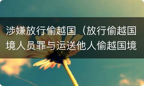 涉嫌放行偷越国（放行偷越国境人员罪与运送他人偷越国境罪共犯）