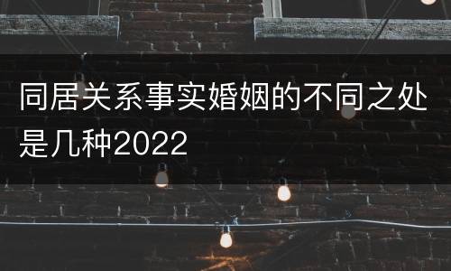 同居关系事实婚姻的不同之处是几种2022