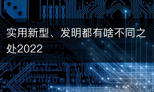 实用新型、发明都有啥不同之处2022
