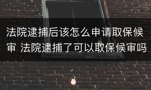 法院逮捕后该怎么申请取保候审 法院逮捕了可以取保候审吗