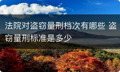 法院对盗窃量刑档次有哪些 盗窃量刑标准是多少