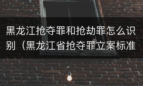 黑龙江抢夺罪和抢劫罪怎么识别（黑龙江省抢夺罪立案标准）