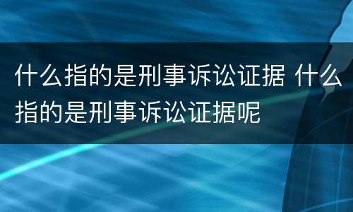 什么指的是刑事诉讼证据 什么指的是刑事诉讼证据呢
