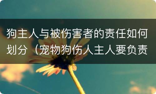 狗主人与被伤害者的责任如何划分（宠物狗伤人主人要负责任吗）
