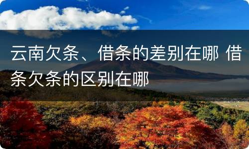云南欠条、借条的差别在哪 借条欠条的区别在哪