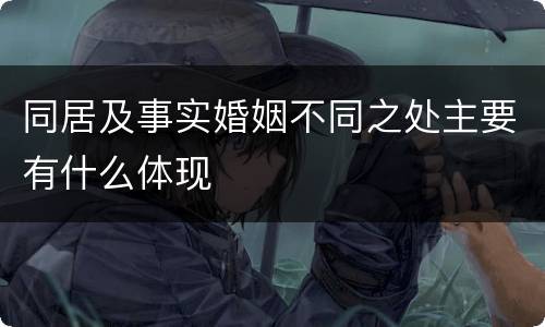 同居及事实婚姻不同之处主要有什么体现