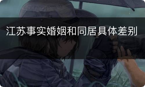 江苏事实婚姻和同居具体差别