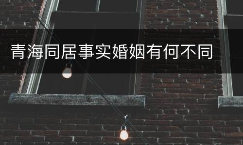 青海同居事实婚姻有何不同