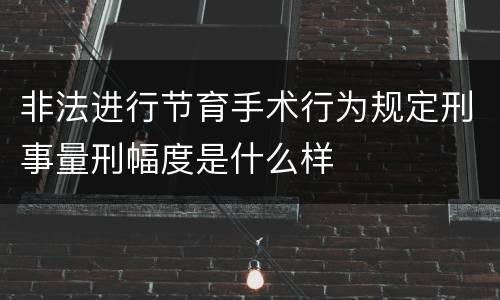 非法进行节育手术行为规定刑事量刑幅度是什么样