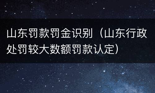 山东罚款罚金识别（山东行政处罚较大数额罚款认定）