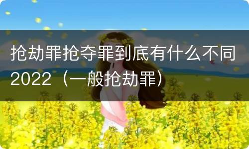 抢劫罪抢夺罪到底有什么不同2022（一般抢劫罪）