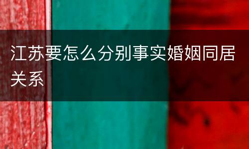江苏要怎么分别事实婚姻同居关系