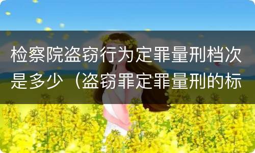 检察院盗窃行为定罪量刑档次是多少（盗窃罪定罪量刑的标准）