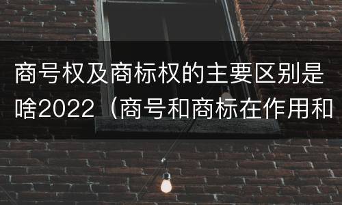 商号权及商标权的主要区别是啥2022（商号和商标在作用和性质上的区别）