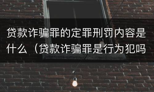 贷款诈骗罪的定罪刑罚内容是什么（贷款诈骗罪是行为犯吗）