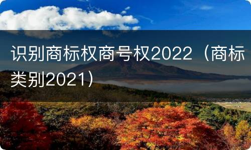 识别商标权商号权2022（商标类别2021）