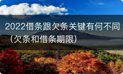2022借条跟欠条关键有何不同（欠条和借条期限）