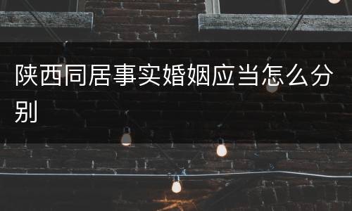 陕西同居事实婚姻应当怎么分别